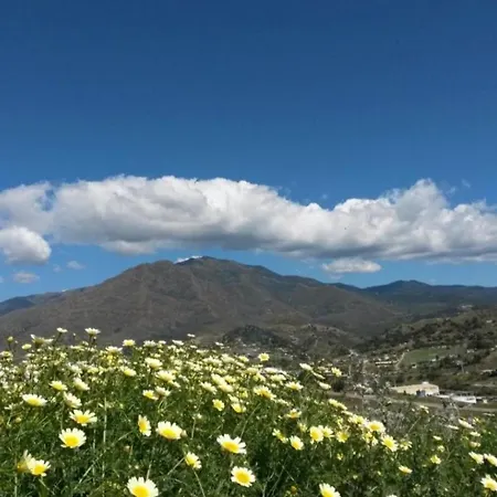 Vista Gaviota *